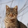 Profilbild von panchojuan