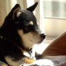 88 Li's profile picture
