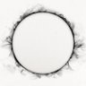 Primrose Everdene profil fotoğrafı