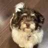 Mimi Should Know's profile picture
