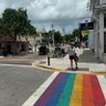 Feimali 🏳️🌈 的头像