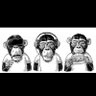 3Monkey’s profil fotoğrafı
