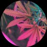 Profilbild von Quartz420