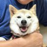 ezmyegegege's profile picture