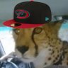 MegaSegaballs's profile picture