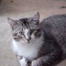 MaxKatt's profile picture