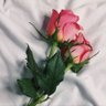 Фото профиля فاطمة بنت فهد