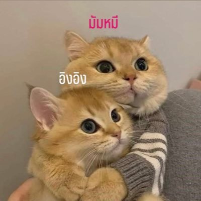 RDaungkum's profile picture
