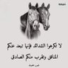 عبد العزيز خالد's profile picture