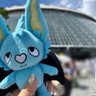 いぬたまご.com's profile picture
