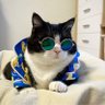Profilbild von MacizoVirtual