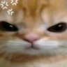 mikimiki ⋆ ☆ ⋆ ★ ⋆ . · . ☆'s profile picture