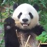 たかちゃん 的头像