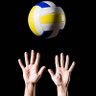 sevoley's profile picture
