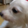 Profilbild von ky