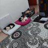 Figen Çelik 的头像