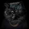 Baagad Billa profil fotoğrafı