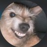 Daphney😜's profile picture