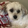 Holly Wood's profile picture