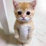 Фото профиля みちゃん