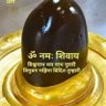 Фото профиля Amlesh Yadav