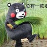 洼地何来民主's profile picture