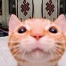 Inayah's profile picture