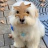 ann and ann ʕ⁠´⁠•⁠ᴥ⁠•⁠`⁠ʔ profil fotoğrafı