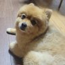 hikaru~'s profile picture