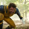 Profilbild von RogueWolverine