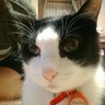 Profilbild von みっく