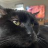 scribegirl's profile picture