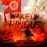 Vinay Hindu profil fotoğrafı