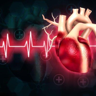 CardiovascularCorner's profile picture