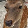 Фото профиля あつ〜しの勉強垢