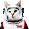 spaceforcecat 的头像