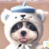 ʷʰâ±áµáµâ¿áµâ±Ë¢áµ profil fotoÄrafı