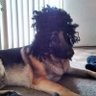 Tasos B profil fotoğrafı