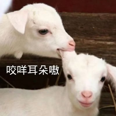 GoodFxxkMorning's profile picture