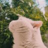 sioxey's profile picture
