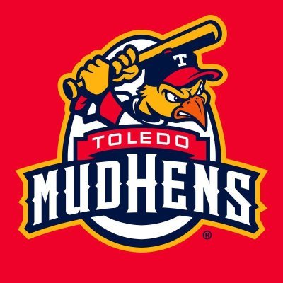 Toledo Mud Hens's profile picture
