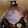Profilbild von Hager Marco