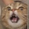 Chronos's profile picture