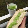 pea dog 的头像