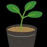 Profilbild von たね🌱🌿