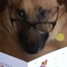 KarmaCollects's profile picture