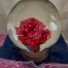 Фото профиля AmericanRose