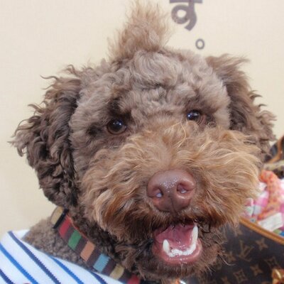 ミズケン's profile picture