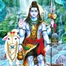 Amit Kumar's profile picture