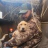 HLFNUT's profile picture